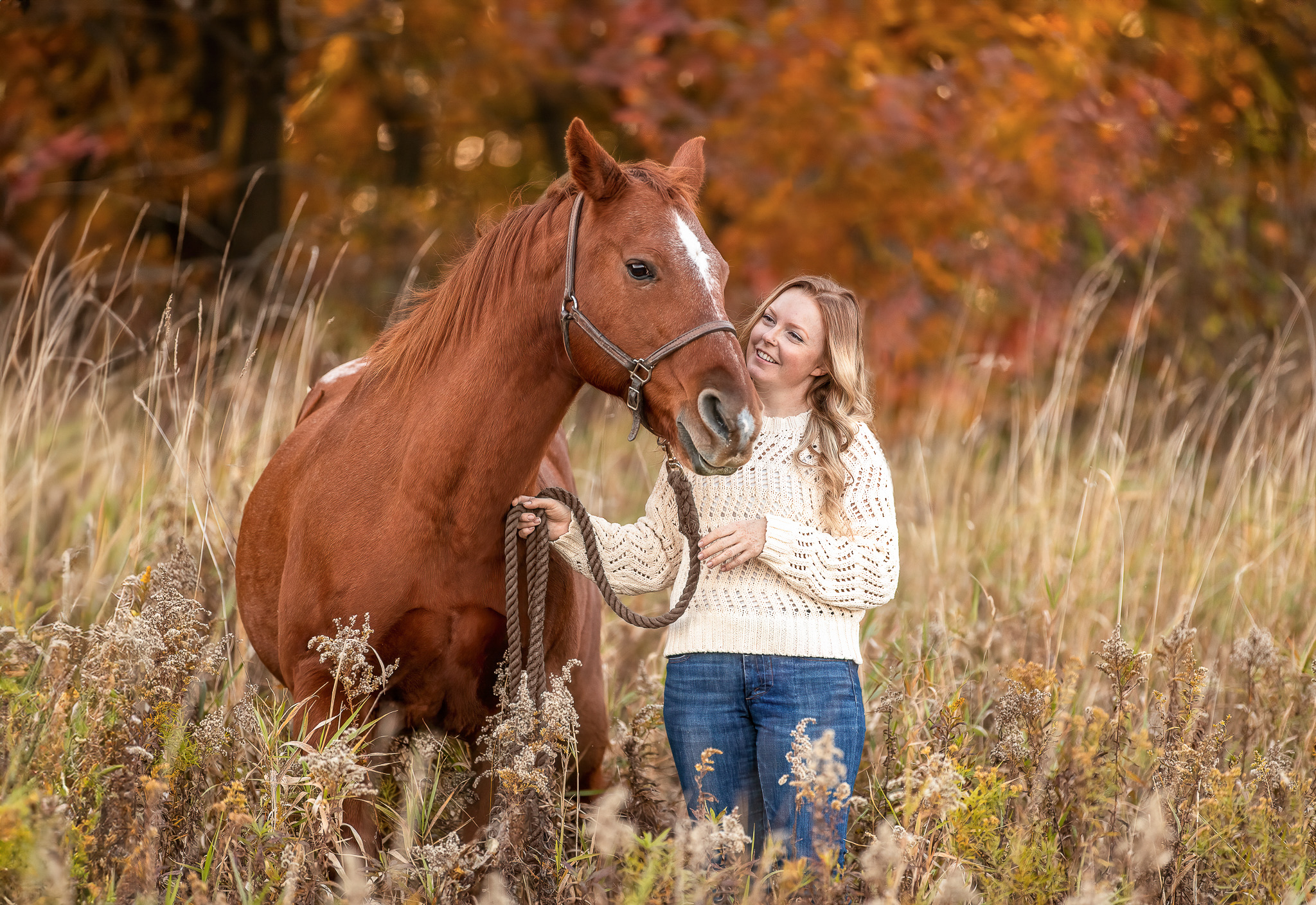 CELEBRATE YOUR DOG WITH GORGEOUS PORTRAITS!